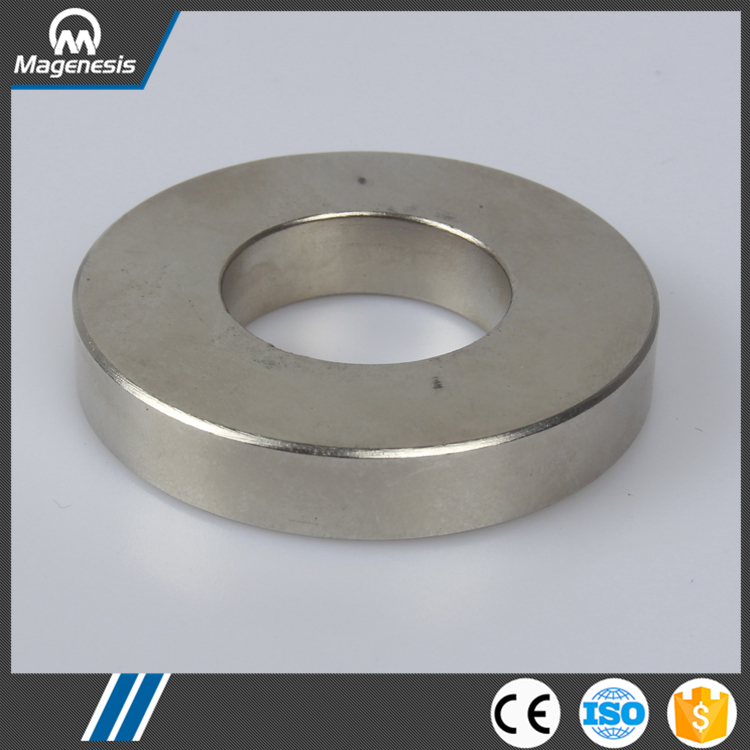 China goods top level loudspeaker ring ndfeb magnet